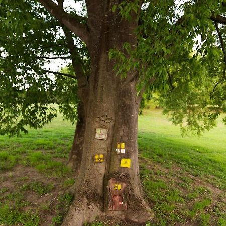 All'Ombra Del Bagolaro Taglio di Po Dış mekan fotoğraf
