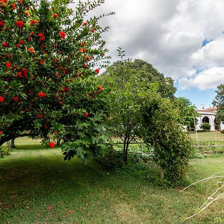 All'Ombra Del Bagolaro Taglio di Po Dış mekan fotoğraf