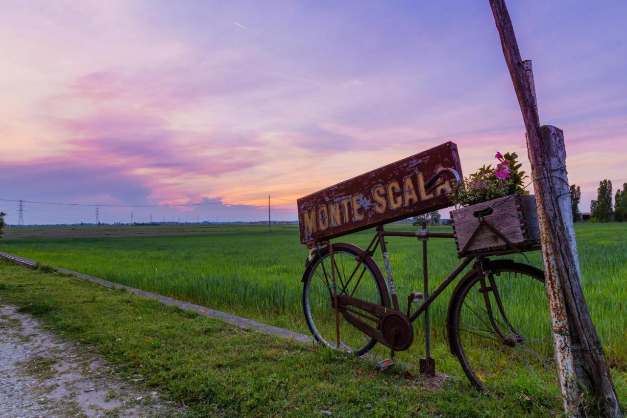 All'Ombra Del Bagolaro Taglio di Po Dış mekan fotoğraf